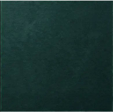 يوم التأسيس